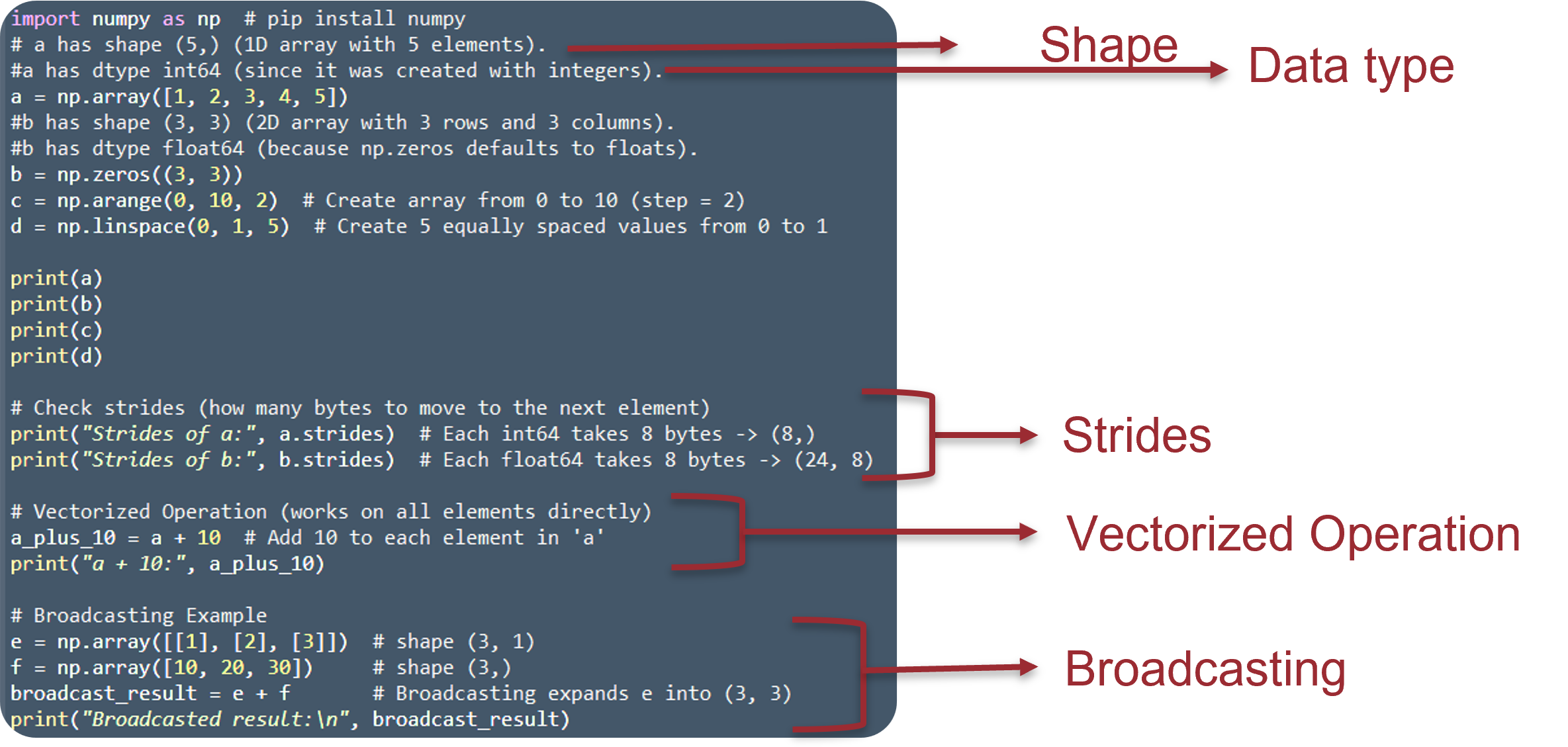 Numpy Arrays (vs Lists) • Data Tutor
